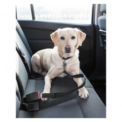 L'attache ceinture pour chien en voiture
