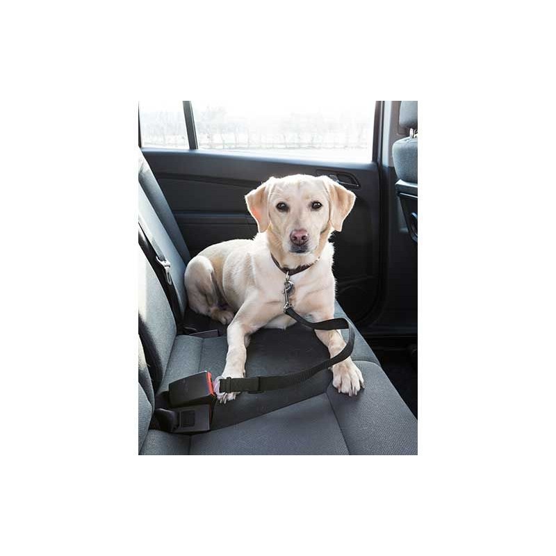 L'attache ceinture pour chien en voiture